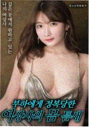 消失的她海报